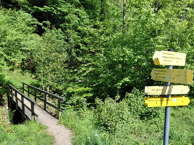Hier geht die Ortsumrundung weiter | Foto: H.Bachinger