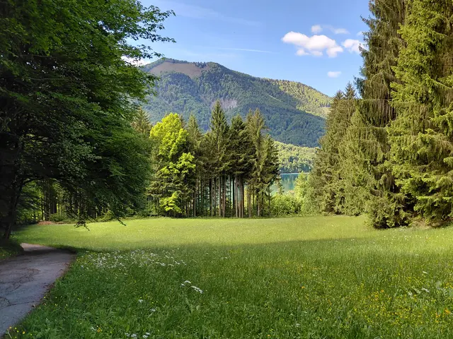 An der Seestrasse zum Fuschlsee Rundweg  | Foto: H.Bachinger
