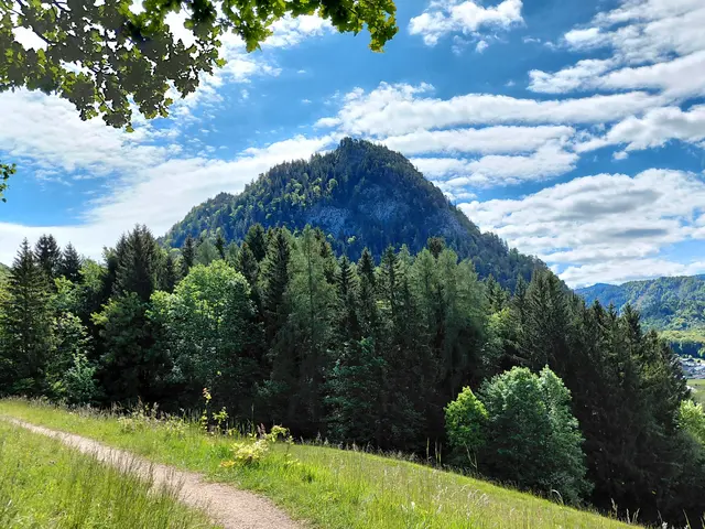Ellmaustein  | Foto: H.Bachinger
