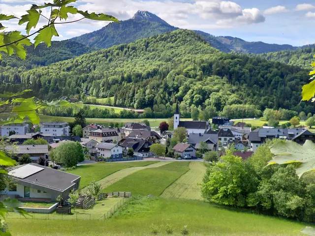 Foto: H.Bachinger