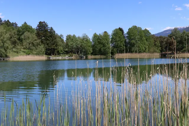 Foto: Kendlbacher