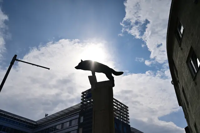 "Passauer Wolf" von Ferdinand Andri in St. Pölten, Kardinal-Franz-König-Platz (ehem. Neugebäudeplatz). | Foto: Hans-Peter Kriener