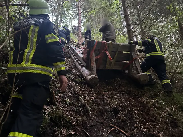 Für die Bergung des Kalbs kamen ein Spezialschlitten und zwei Seilwinden zum Einsatz. | Foto: Freiwillige Feuerwehr Metnitz