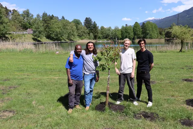 GF Daniel Rhomberg und Matthias Stöger mit den Mitarbeitern Musah und Simon vor einem frisch gepflanzten Obstbaum. | Foto: Kendlbacher