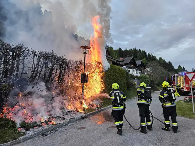 Acht Meter Hecke waren vom Brand betroffen. | Foto: Freiwillige Feuerwehr Bad Kleinkirchheim