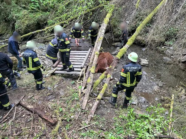 Foto: Freiwillige Feuerwehr Metnitz