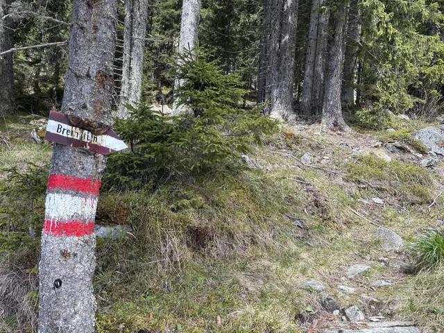 Die Tour von der unteren Bodenhütte auf den Bremstein bietet tolle Ausblicke