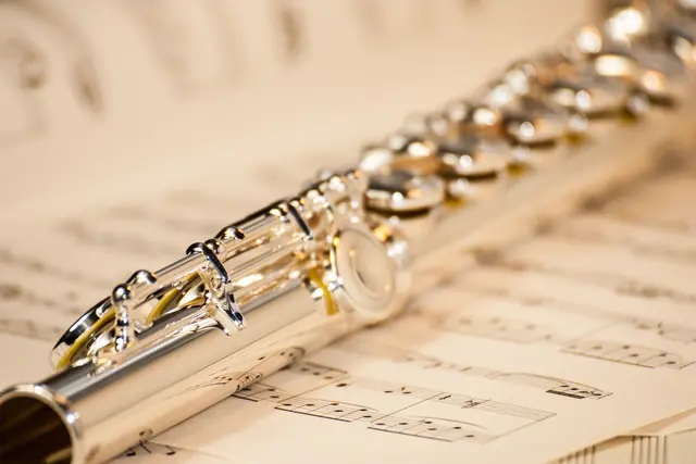 Harmonische Musikmomente beim Jahreskonzert | Foto: hayo