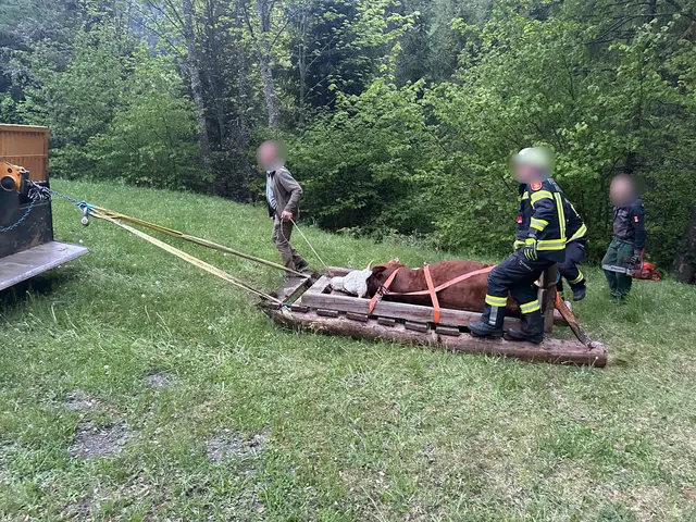 Der Einsatz dauerte etwa zweieinhalb Stunden. | Foto: Freiwillige Feuerwehr Metnitz