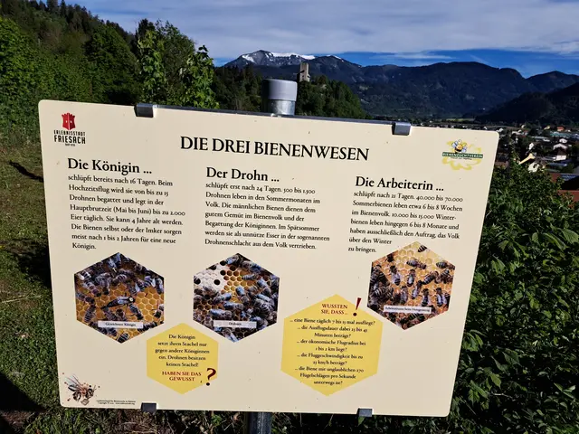 Herwig Klose wird bald Kinder wie Erwachsene in die Welt der Bienen einführen. | Foto: Privat