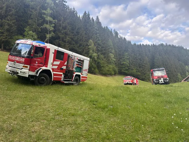 Foto: Freiwillige Feuerwehr Metnitz