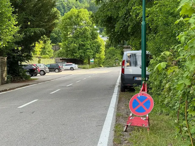 Standort: Dumbastraße. Achtung: Hier sind nur 30 km/h erlaubt! | Foto: MeinBezirk/Gratzer