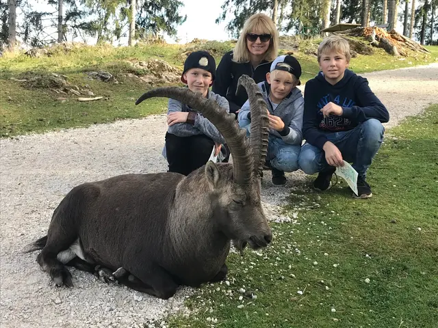 Tierpark Rosegg | Foto: Brabant