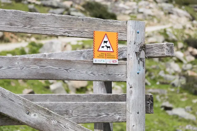 Respekt vor Tieren und Gefahren. Achten Sie beim Wandern auf die Verhaltensregeln. | Foto: Die Fotografen