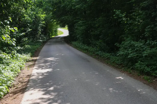 Der 75-Jährige war auf regennasser Fahrbahn bergab unterwegs, als er schwer zu Sturz kam. | Foto: laumat.at/Matthias Lauber
