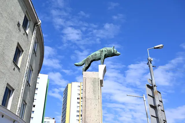 St. Pöltner Wappentier "Passauer Wolf" (Metallguss) von Ferdinand Andri auf einer fünf Meter hohen Stele in der NÖ Landeshauptstadt, Kardinal-Franz-König-Platz (ehem. Neugebäudeplatz). | Foto: Hans-Peter Kriener
