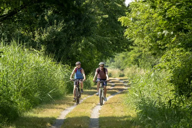 Alltagsradwege werden digital erfasst um das Radfahren im Alltag einfacher und attraktiver zu machen.  | Foto: WTG Himml