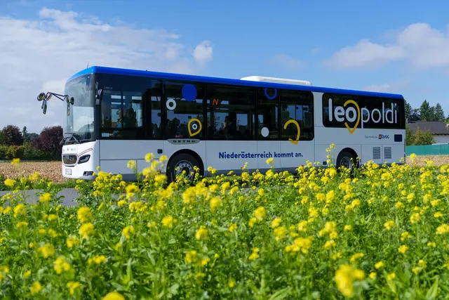 Mit den "LEOpoldi"-Bussen kann man ab Sommer 2027 alle zehn Minuten von der U3-Endstation nach Schwechat fahren.  | Foto: NÖVOG/Bollwein