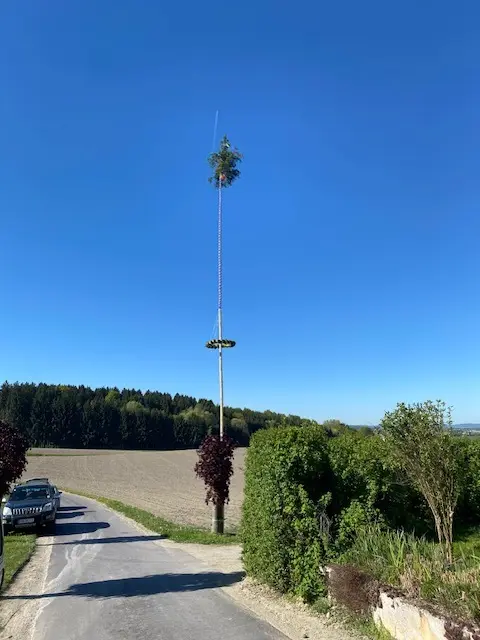 Grieskirchner Jägerschaft stellte ihren Maibaum zum sechsten Mal auf