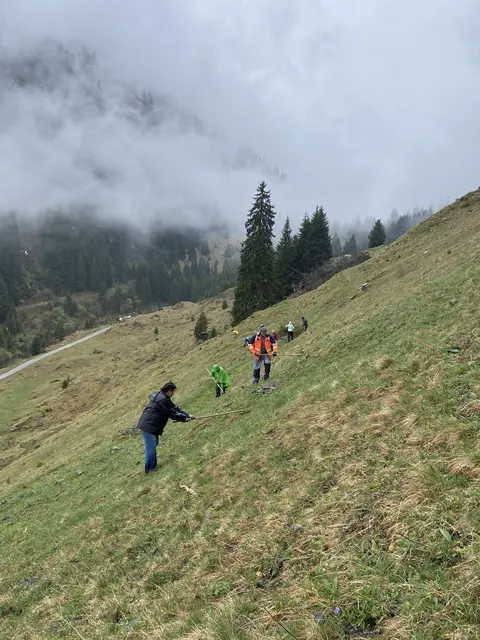 Aufräumen der Almflächen - 
Bergwaldprojekt Weidepflege Alpe Garnera
 | Foto: Viviane Bremora