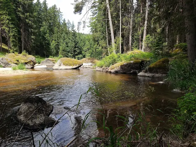 Entspannender Urlaub im Waldviertel | Foto: Roland Hille