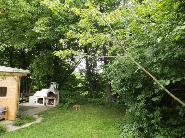 Der Garten von Thomas Epple vor dem Kahlschlag ... | Foto: Thomas Epple