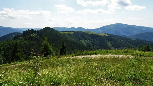 Beim Abstieg - der Blick hinüber zum Erzkogel und zum Dürriegelkamm, im Hintergrund rechts das Stuhleck und die Pretul. ...
 | Foto: © Silvia Plischek