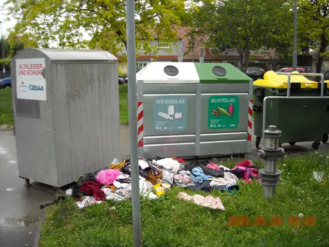 Der Wiener Landtag beschloss am Mittwoch ein Verbot für Altkleidcontainer – einstimmig.  | Foto: zVg