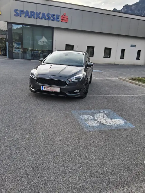 Dieser Kunstparker fiel in Reichenau an der Rax negativ auf. | Foto: Marcel Scheiber