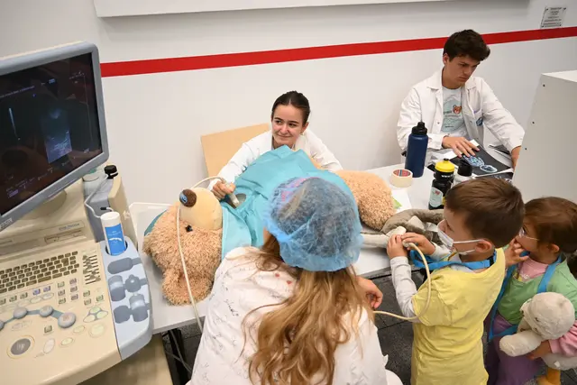 Ultraschall darf bei der Diagnosefindung nicht fehlen. | Foto: Königer