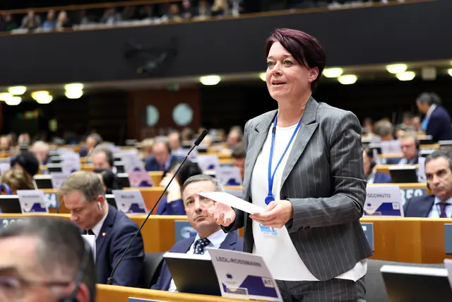 Im Ausschuss der Regionen vertritt Sonja Ledl-Rossmann die Interessen Tirols auf europäischer Ebene. Dort werden regionale Anliegen in politische Entscheidungsprozesse der Europäischen Union eingebracht. | Foto: eu