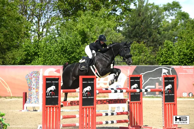 Reiter-Duo beim Sprung über 140cm | Foto: Bernd Haider