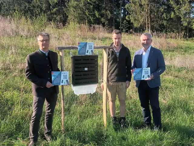 Acht solcher Borkenkäferfallen wurden installiert, unter anderem in Mannersdorf an der Rabnitz: Landesrat Heinrich Dorner (rechts) mit Gerald Thurner (links) und Klaus Unterberger von der Landesforstinspektion. | Foto: Büro Dorner