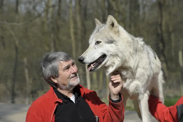 Kurt Kotrschal, Verhaltensbiologe, Autor und einer der renommiertesten Wolf-Experten im deutschsprachigen Raum (Archivfoto) | Foto: Walter Vorbeck