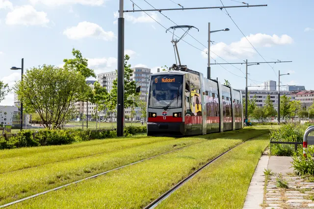 Grüngleise wie hier werden auf der Hauptstraße nicht umgesetzt. (Symbolbild) | Foto: Manfred Helmer/Wiener Linien
