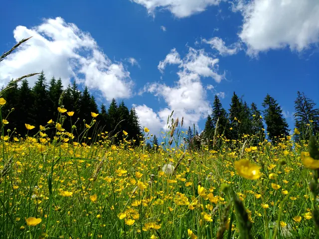 Das Pfingstwochenende wird in der Steiermark sommerlich warm mit Temperaturen bis zu 29 Grad – ideal für einen Ausflug.  | Foto: MeinBezirk/Sarah Konrad