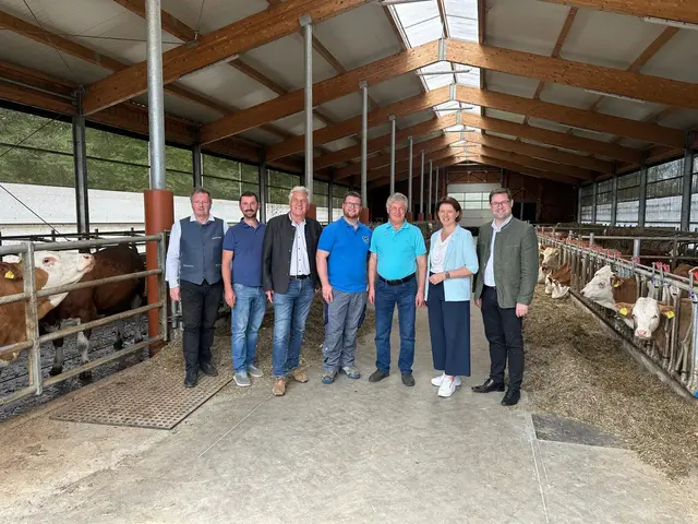 Agrar-Landesrätin Michaela Langer-Weninger (ÖVP) war im Bezirk Grieskirchen unterwegs und besuchte zwei Bauernhöfe. | Foto: OÖVP Bezirk Grieskirchen