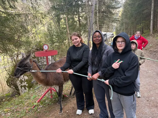 Die Schülerinnen der 3a genossen die Alpakawanderung: Jakus Imola, Solomon Charlene und Wallner Amanda. | Foto: Sandra Steiner