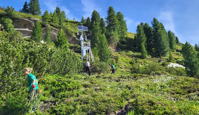 Schwendarbeiten im Gelände | Foto: Naturpark Zillertaler Alpen