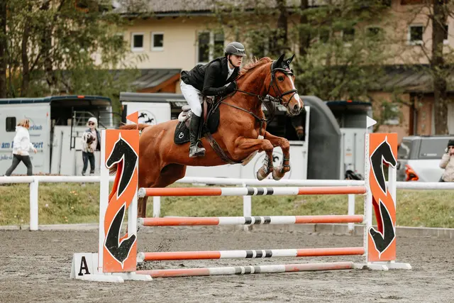 Foto: Niki Buchegger, turnier-fotos.at