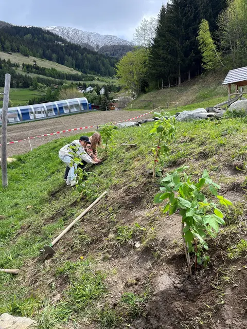 Die kleinen Gärtner waren mit Feuereifer dabei. | Foto: KLAR! Oberes Gericht