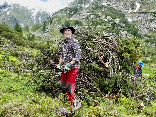 Im Jahr 2024: Teilnehmer Franz vor geschwendeten Latschen | Foto: Naturpark Zillertaler Alpen
