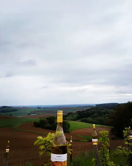 Foto: Mostschank Karner