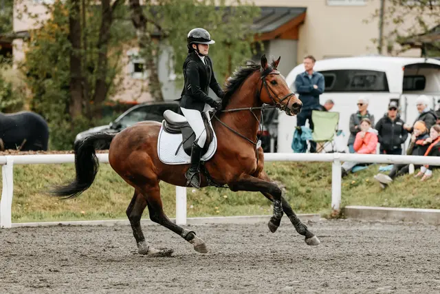 Foto: Niki Buchegger, turnier-fotos.at