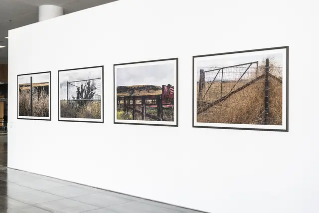 Der erstmals vergebene Fotopreis "What a View"der OÖ Landes-Kultur GmbH ging an Erli Grünzweil. | Foto: Otto Saxinger