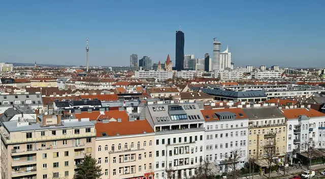 Foto: Milan Kiro/Pexels