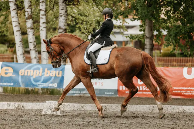 Foto: Niki Buchegger, turnier-fotos.at