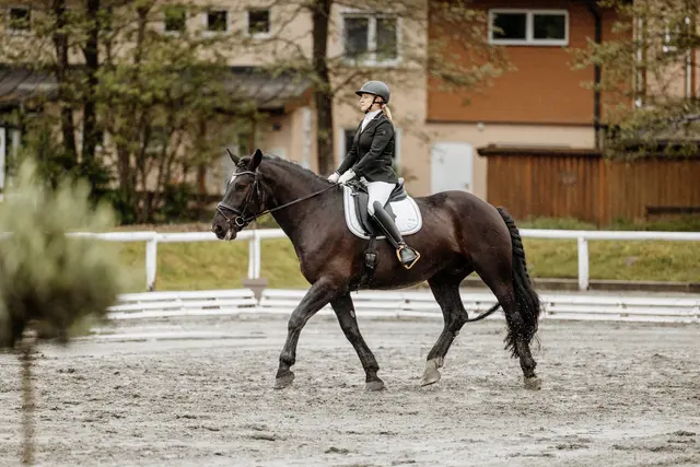 Foto: Niki Buchegger, turnier-fotos.at