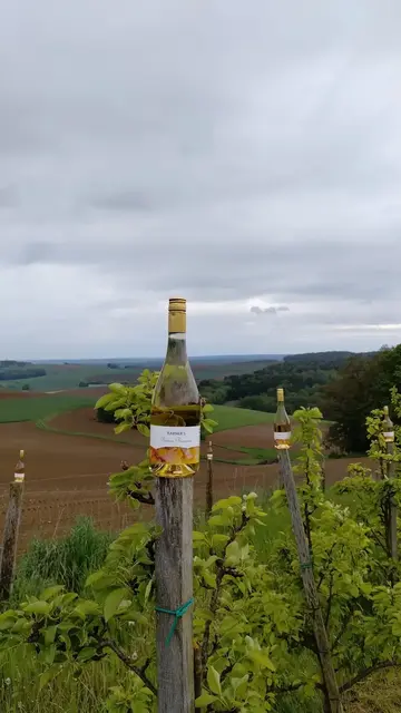 Foto: Mostschank Karner