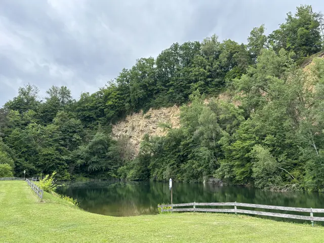 Der Badesee Dornach | Foto: MeinBezirk Perg/Köck